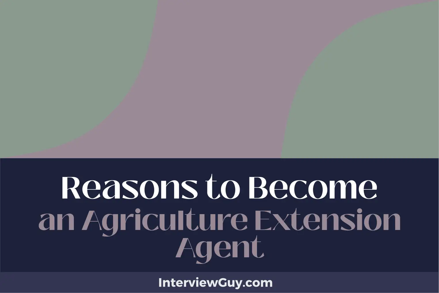 reasons to become an agriculture extension agent