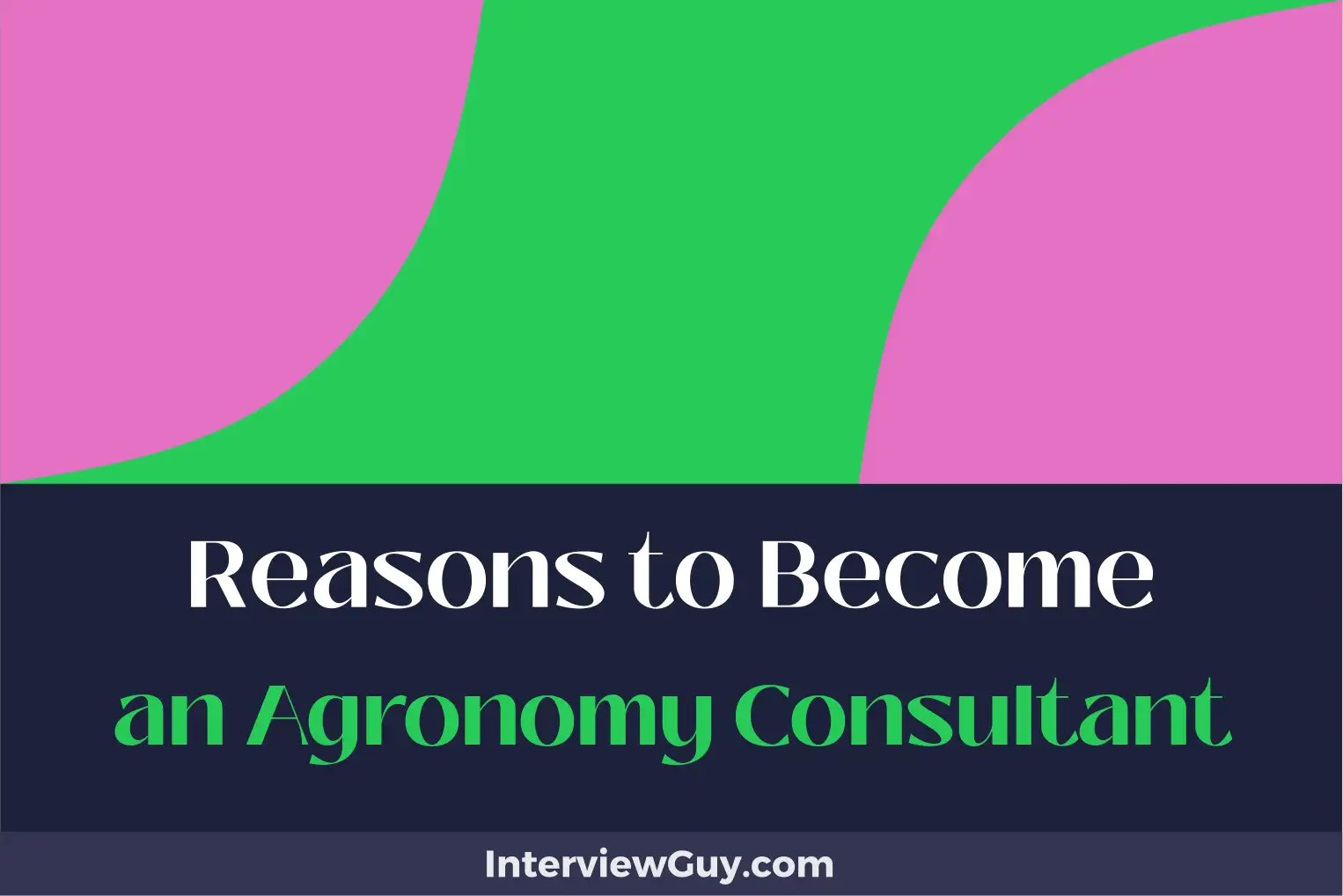 reasons to become an agronomy consultant