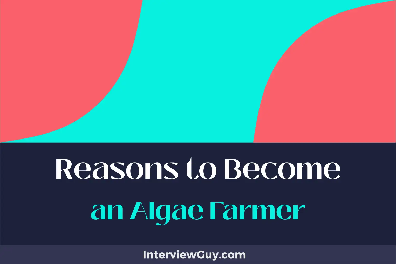 reasons to become an algae farmer