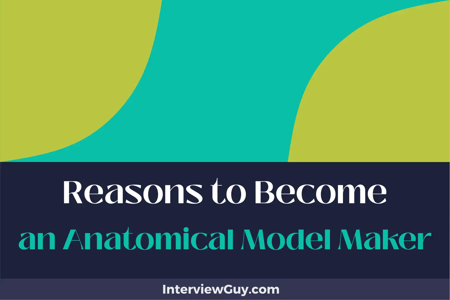 reasons to become an anatomical model maker