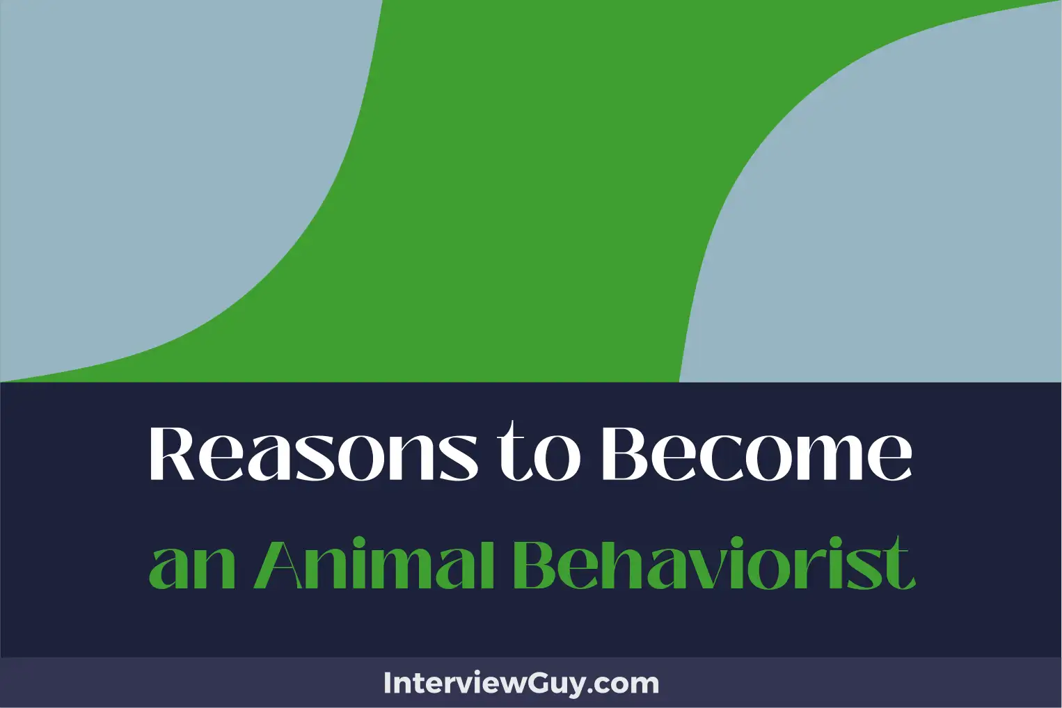 reasons to become an animal behaviorist