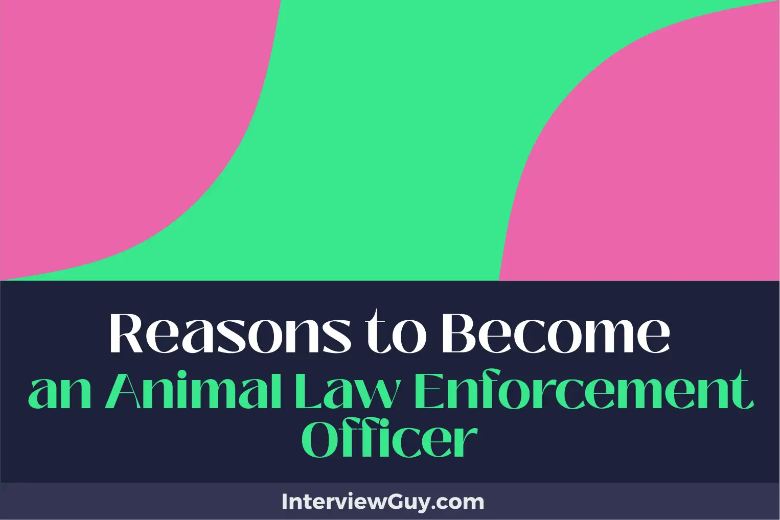 reasons to become an animal law enforcement officer