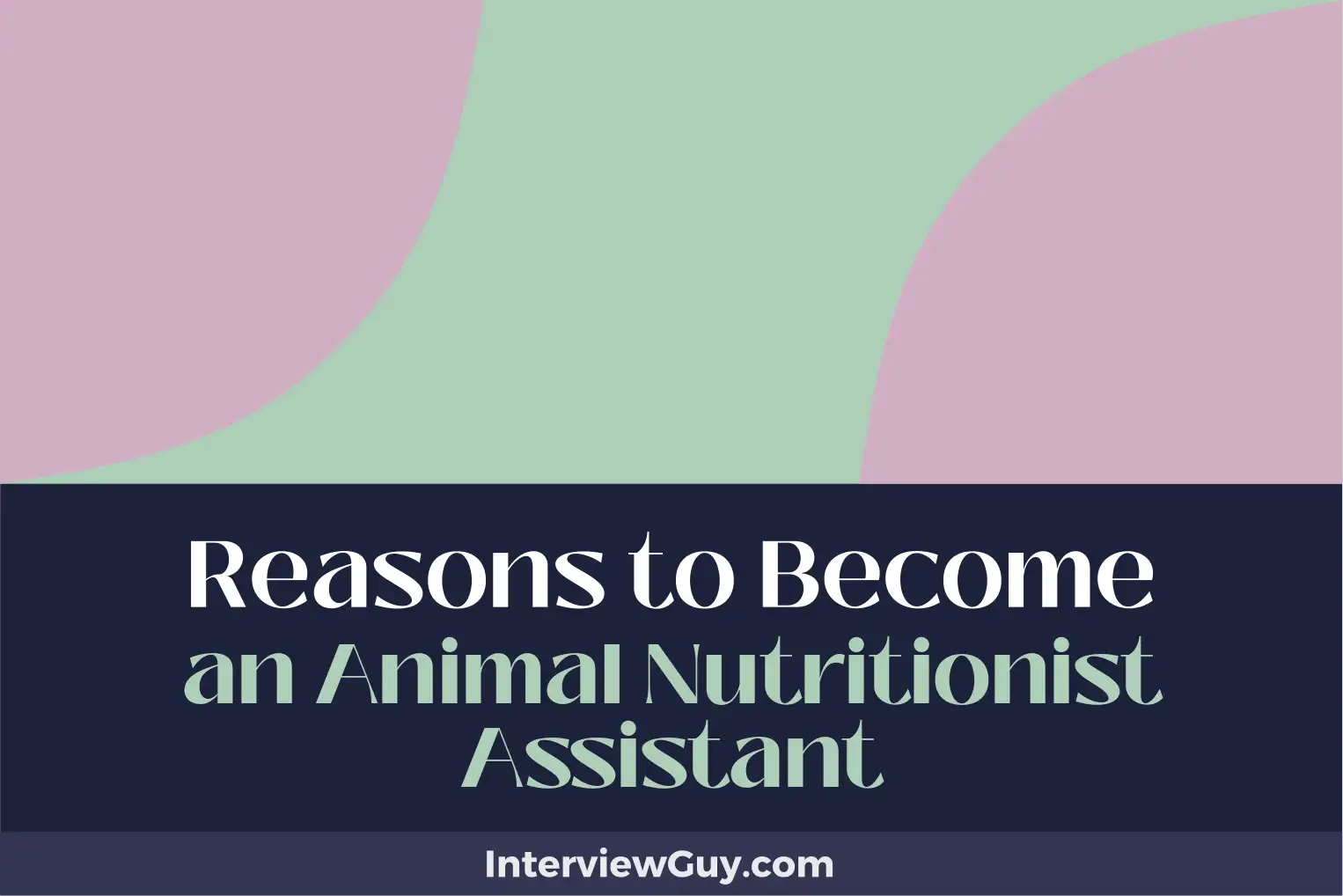 reasons to become an animal nutritionist assistant