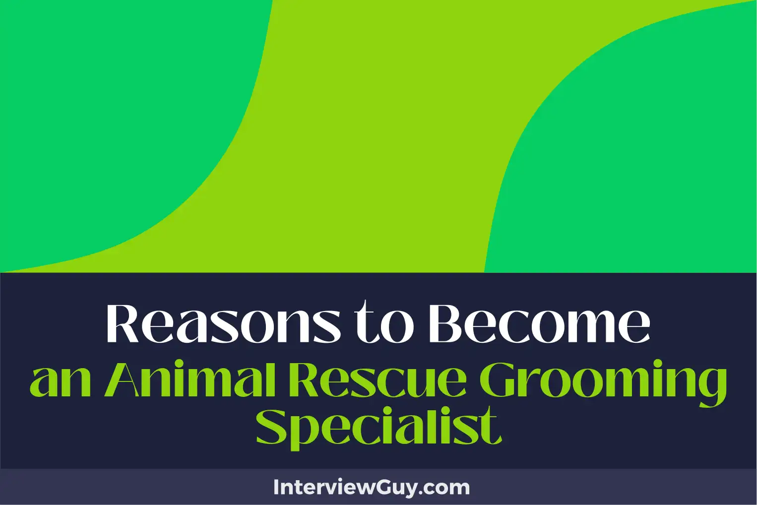 reasons to become an animal rescue grooming specialist