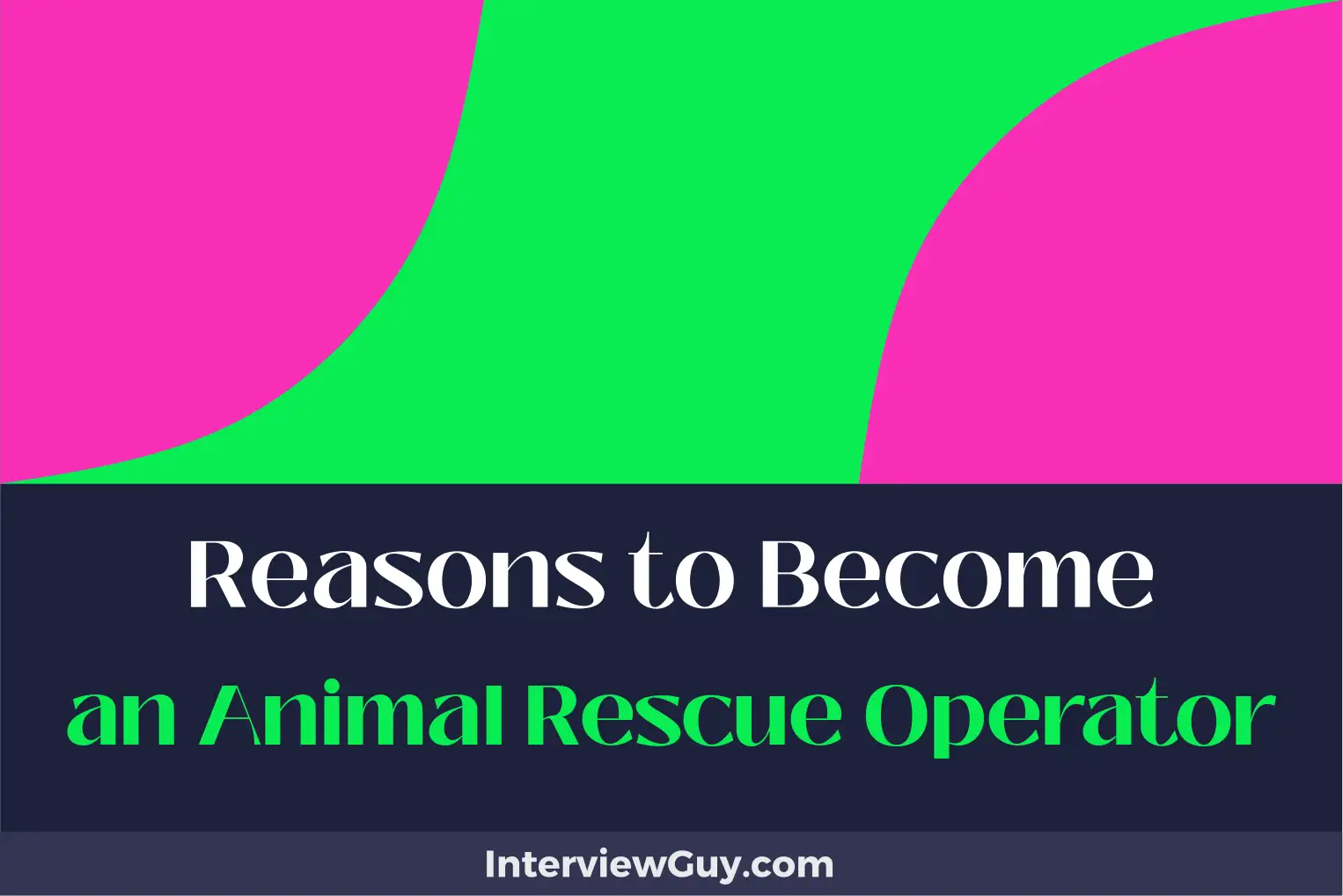reasons to become an animal rescue operator