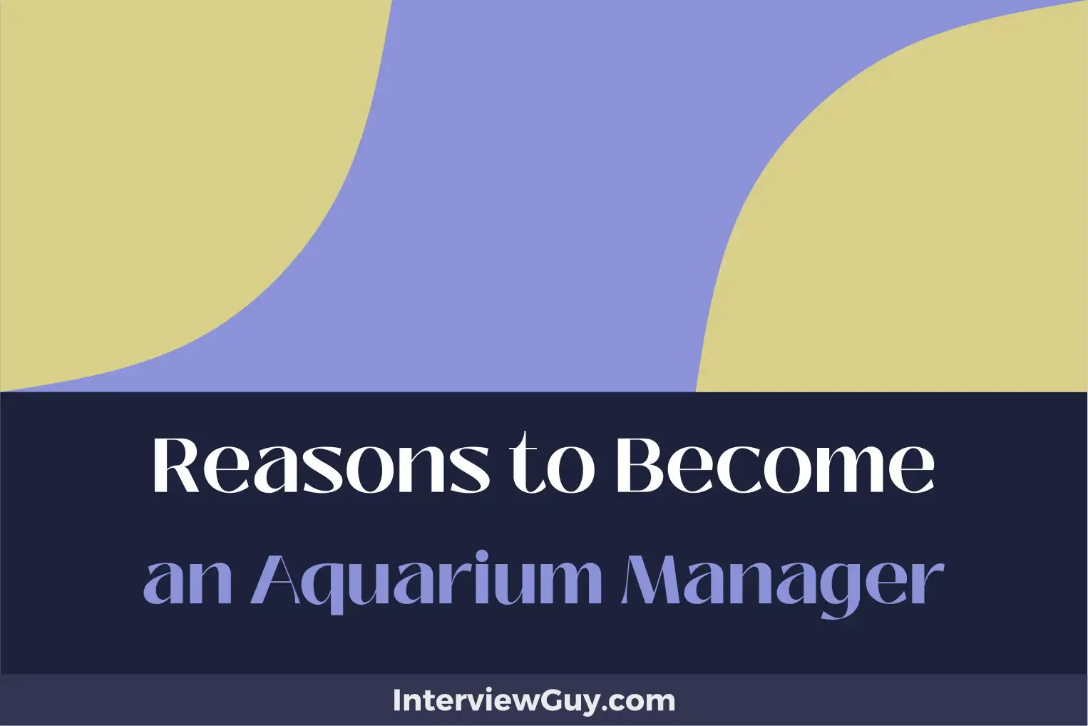 reasons to become an aquarium manager