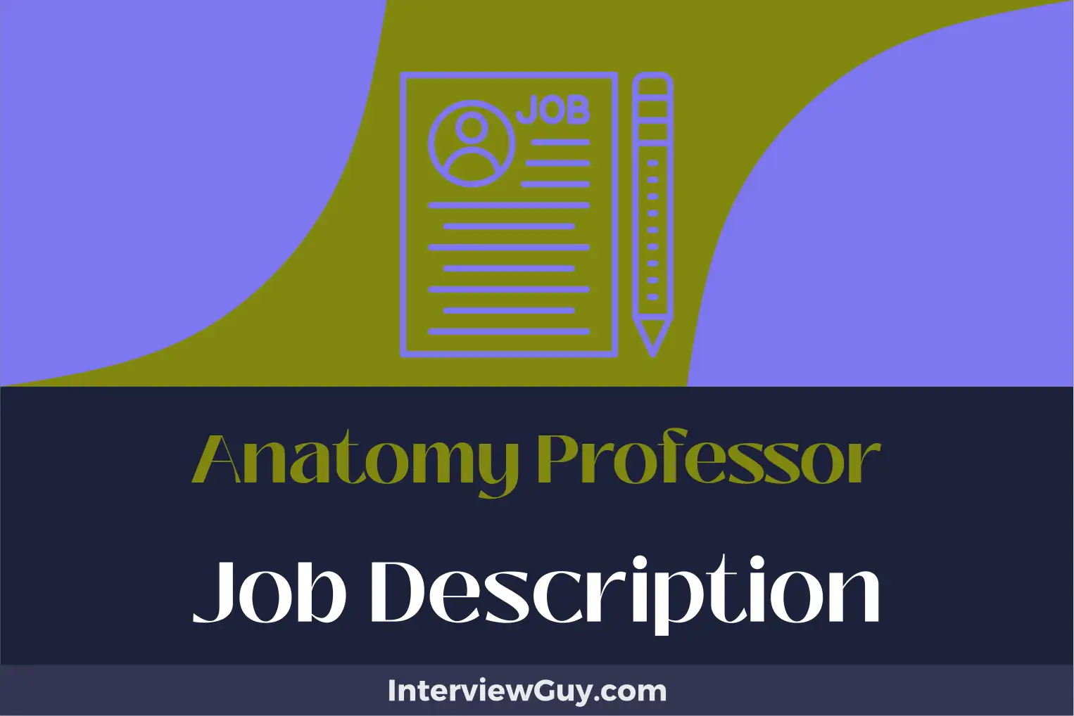anatomy professor job description