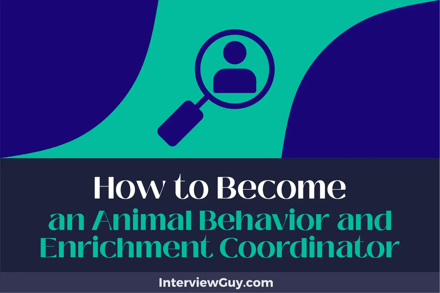 how to become an animal behavior and enrichment coordinator