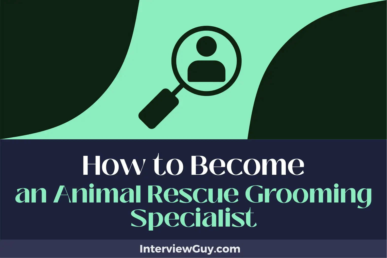 how to become an animal rescue grooming specialist