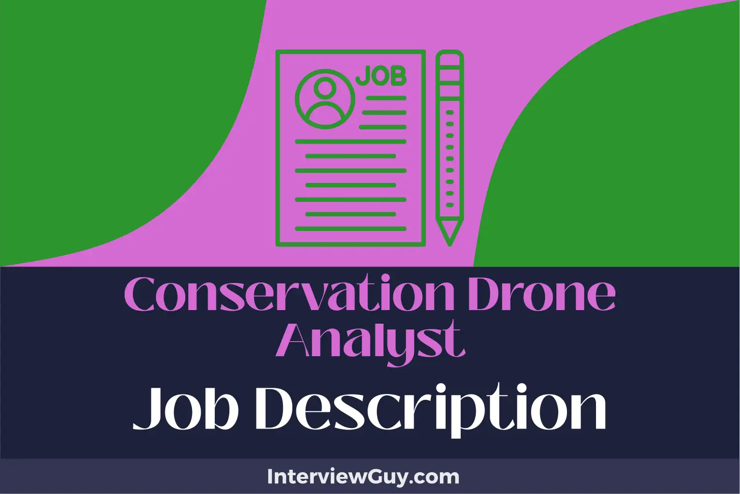 conservation drone analyst job description
