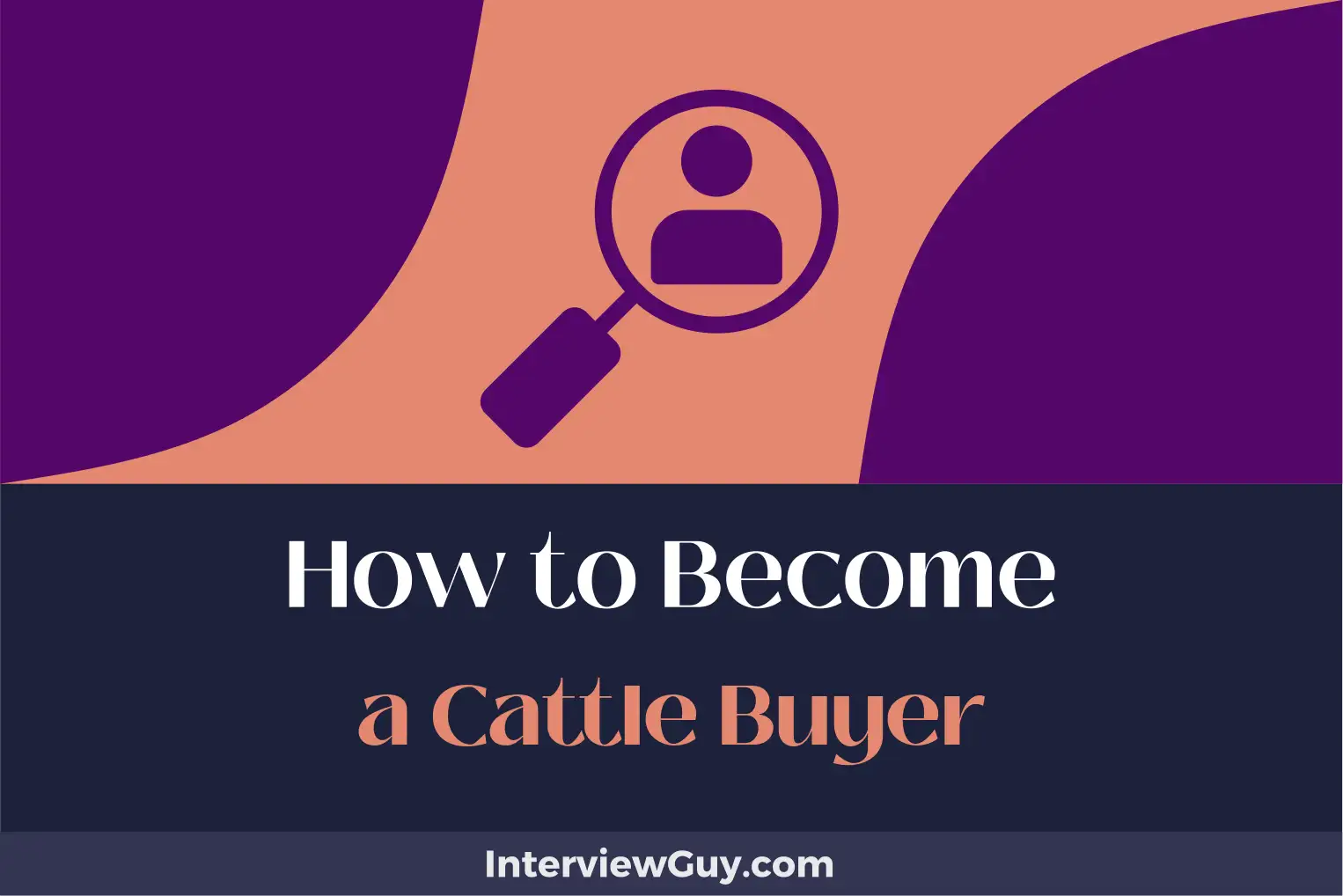 how to become a cattle buyer