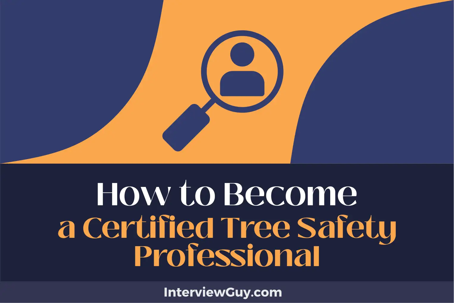 how to become a certified tree safety professional