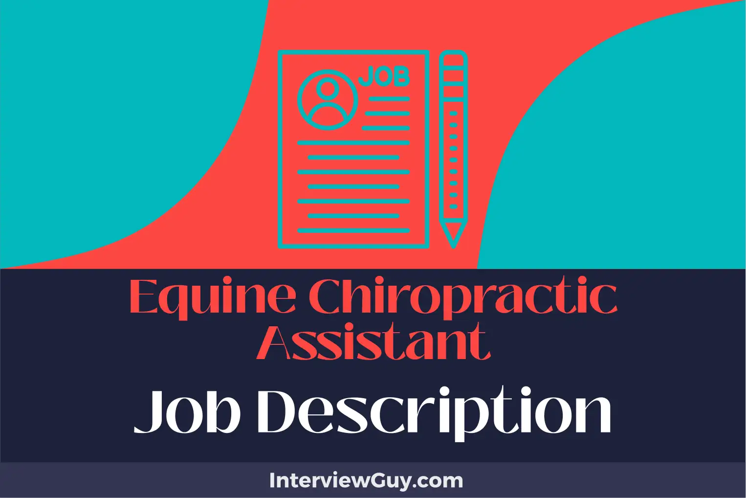 equine chiropractic assistant job description