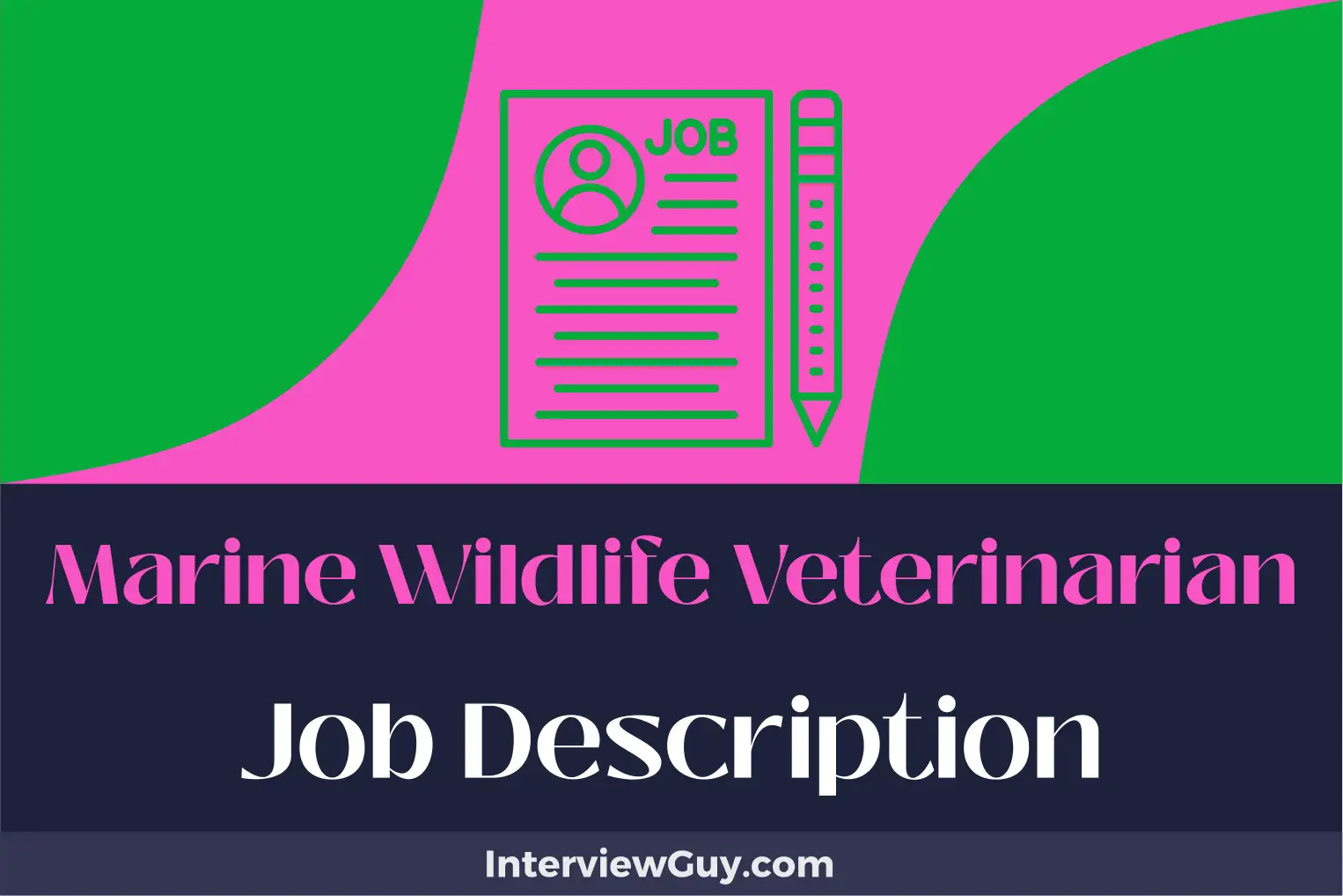 marine wildlife veterinarian job description