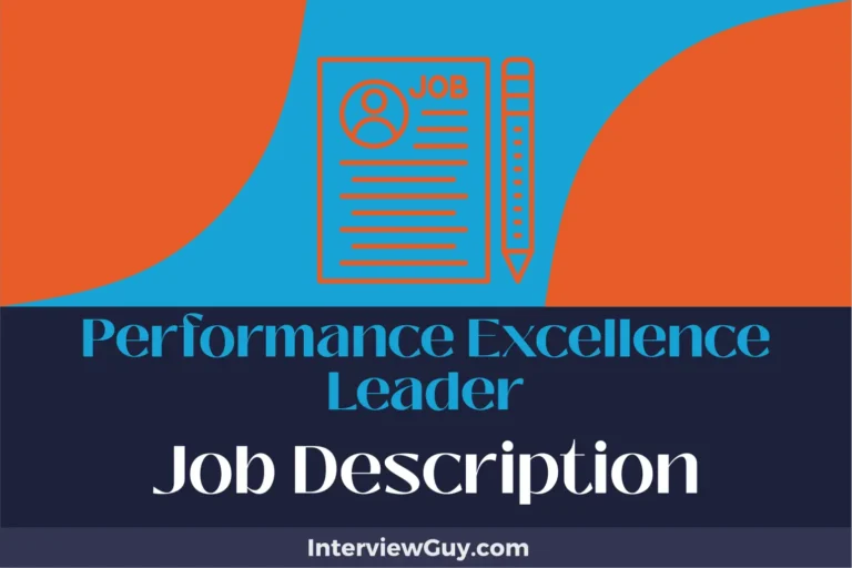 performance excellence leader job description