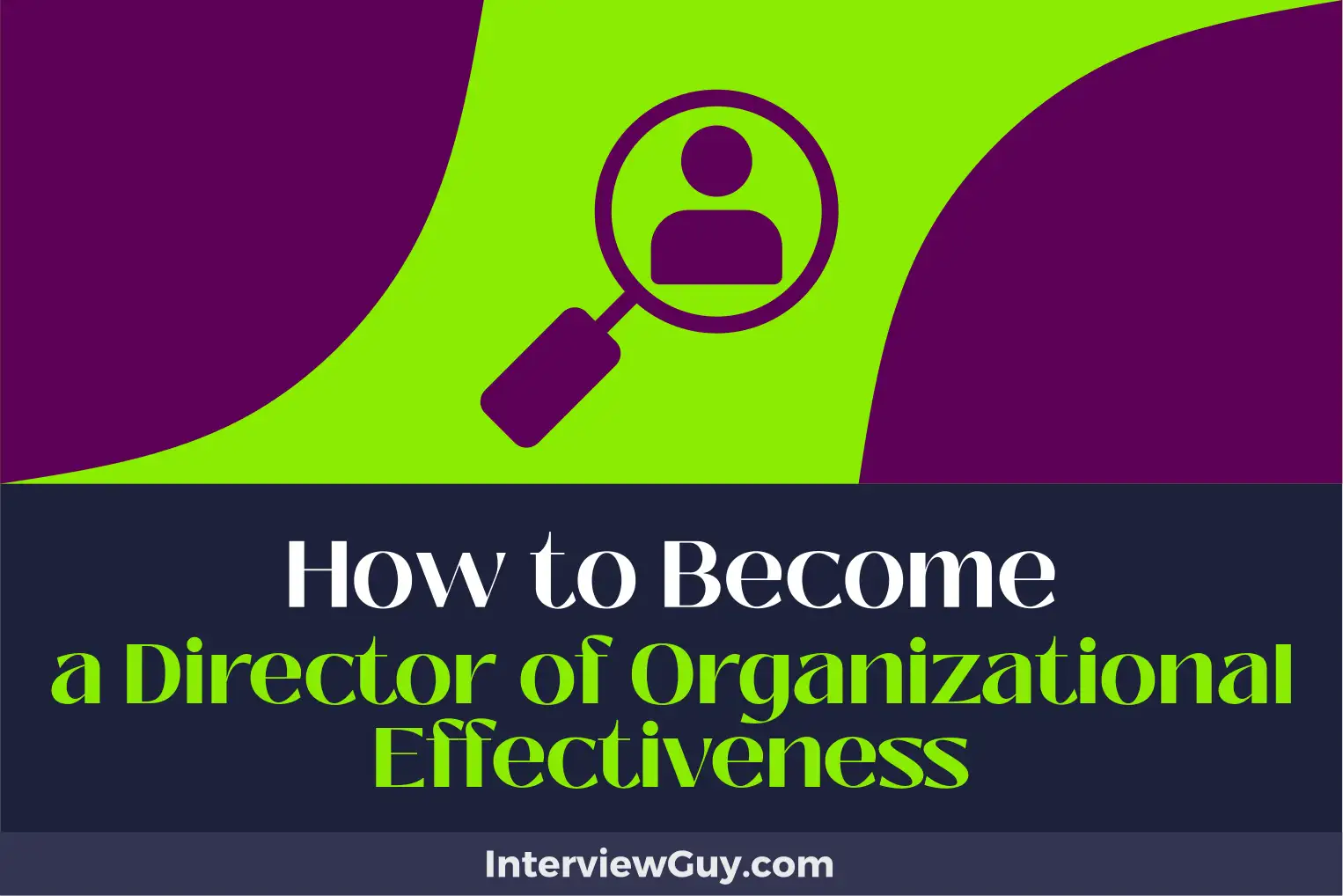 how to become a director of organizational effectiveness