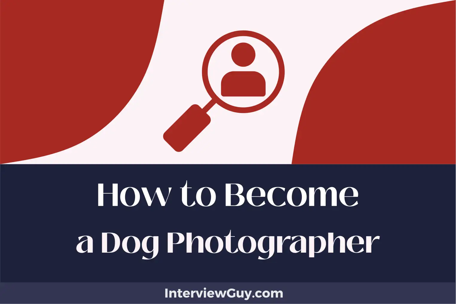 how to become a dog photographer