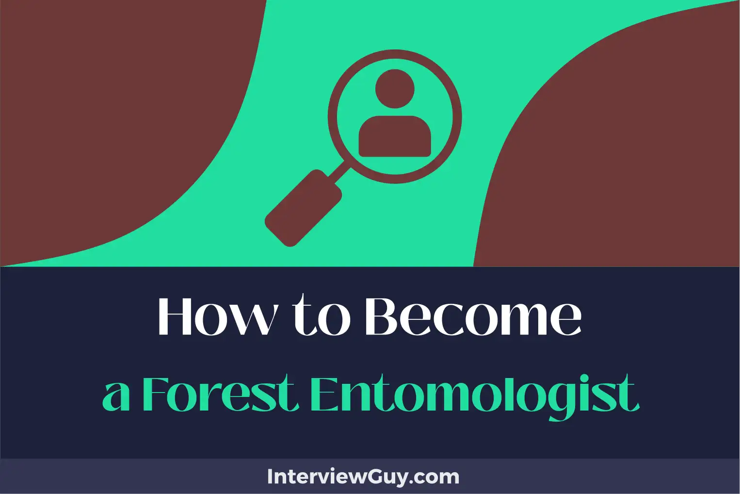 how to become a forest entomologist