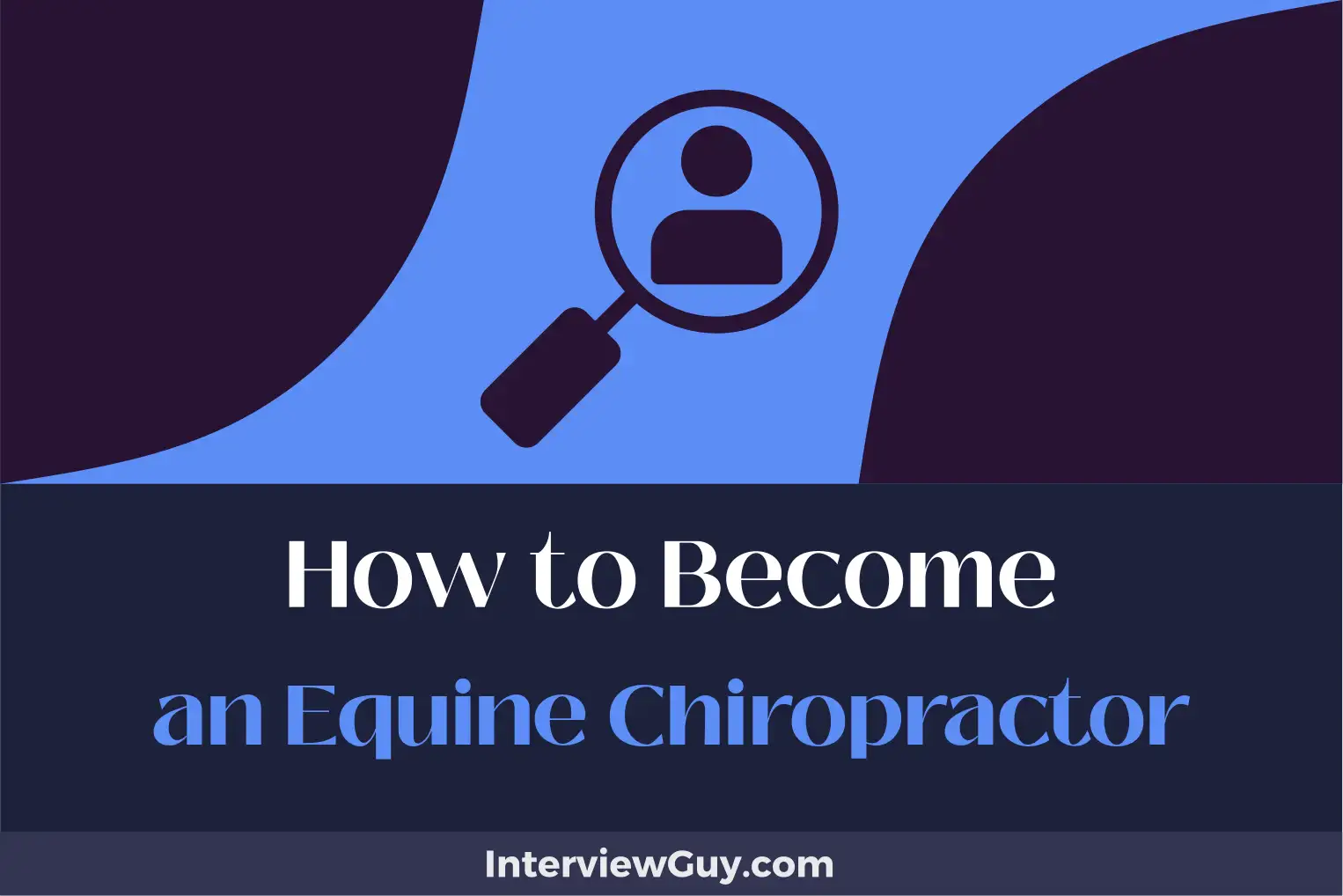 how to become an equine chiropractor