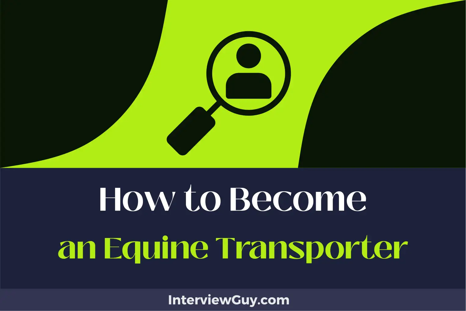 how to become an equine transporter