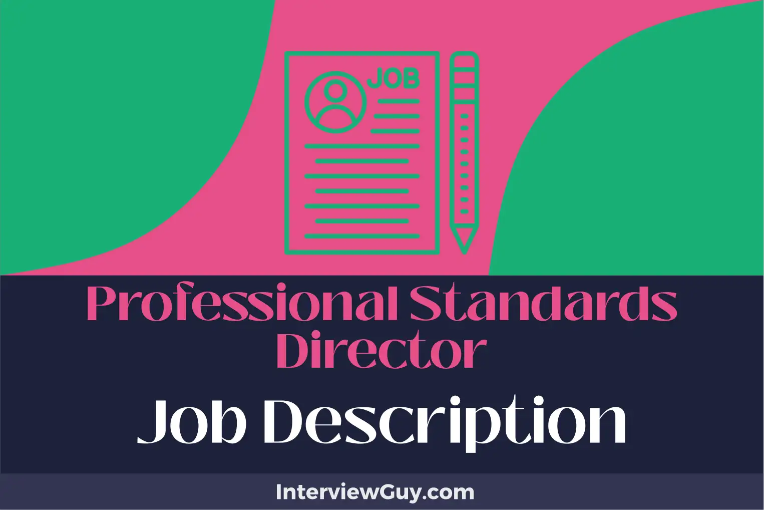professional standards director job description